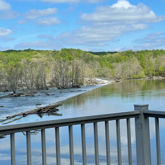 Meet your Posher, Cheyane - Picture 1 of 1